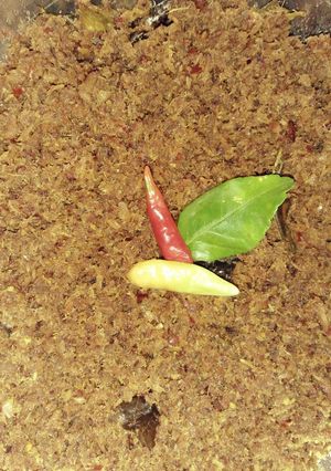 Foto resep Abon Ikan Tongkol Seuhaaah