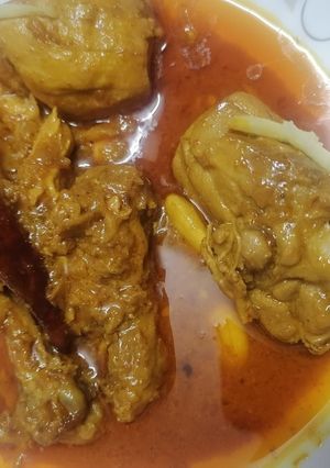 A picture of Chicken Shahi Korma 🍗.