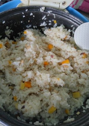 Foto resep Nasi Gurih Sederhana ala Rice Cooker / Majikom
