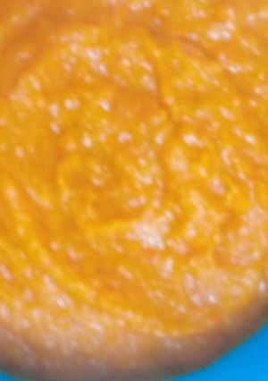A picture of Garlic chutney.