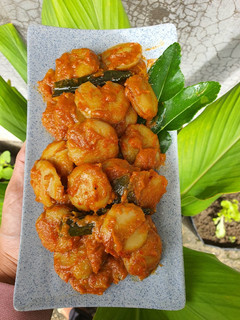 Foto resep Kalio Jengkol