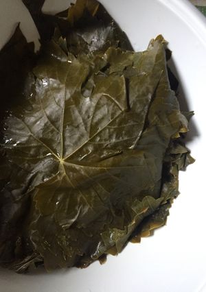 صورة لوصفة ورق عنب على الطريقه المصريه