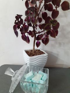 عکسی از دستور ژله پف پفی