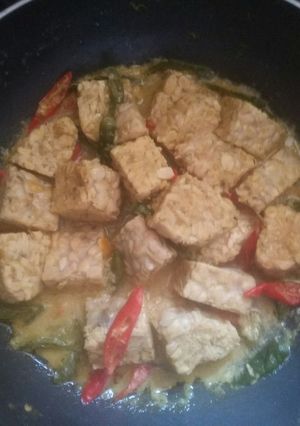 Foto resep Brekecek tempe