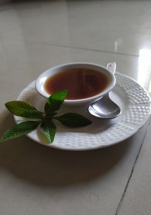 તુલસી ટનાટન રેસીપી મુખ્ય ફોટો