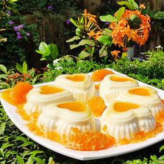 A picture of Orange cream pudding.