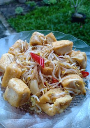 Foto resep Tumis Toge Tahu