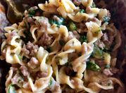A picture of onion mushroom stroganoff