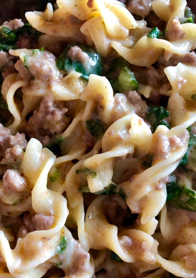 A picture of Stroganoff.