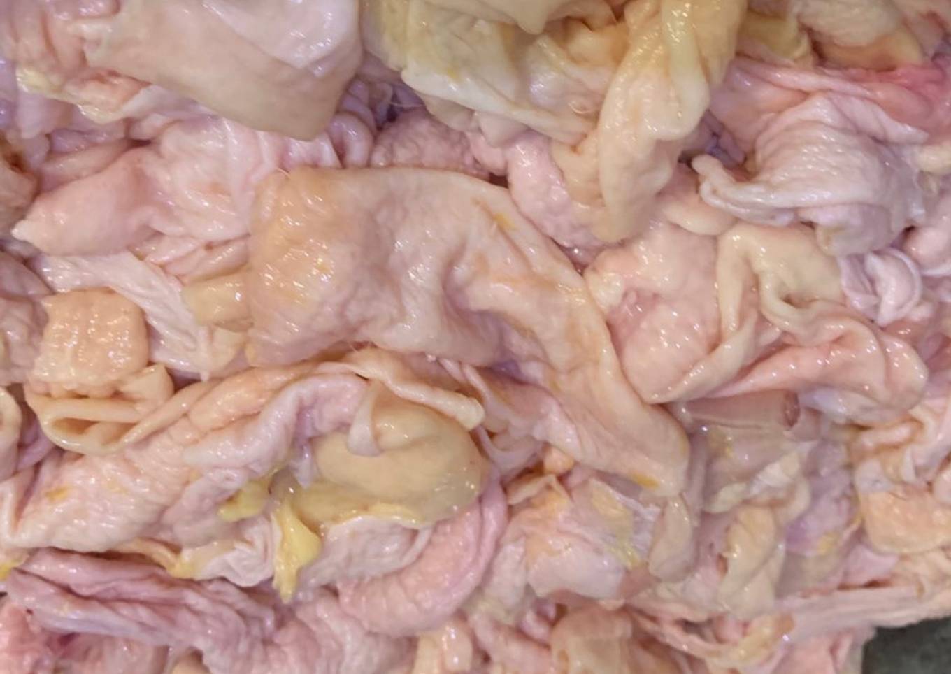 Schmaltz/ chicken oil (minyak ayam)