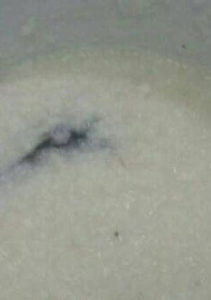 Foto resep Bubur Polos