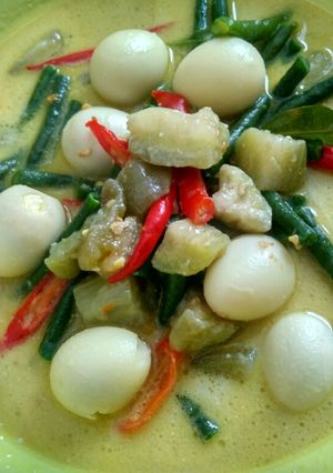 Foto resep Lodeh Terong kacang panjang