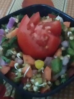 A picture of Sprouted Moong Salad.