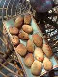 Hazelnut Cookies
