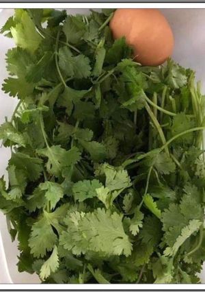 A picture of To store Coriander.