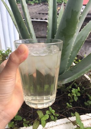 Hình của món Nước nha đam lá dứa.