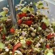Sprout chat