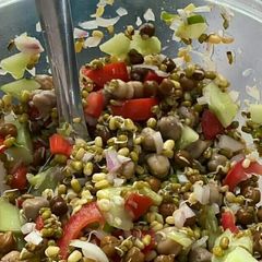 A picture of Sprout chat.