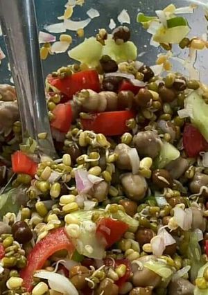 A picture of Sprout chat.