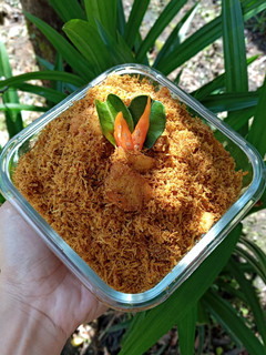 Foto resep Serundeng Ayam