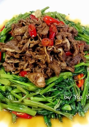 沙茶羊肉 的食譜成品照片