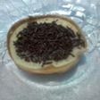 Martabak mini susu
