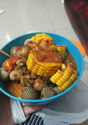 Foto resep Kerang dara saus padang simple