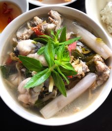 canh ếch lá giang