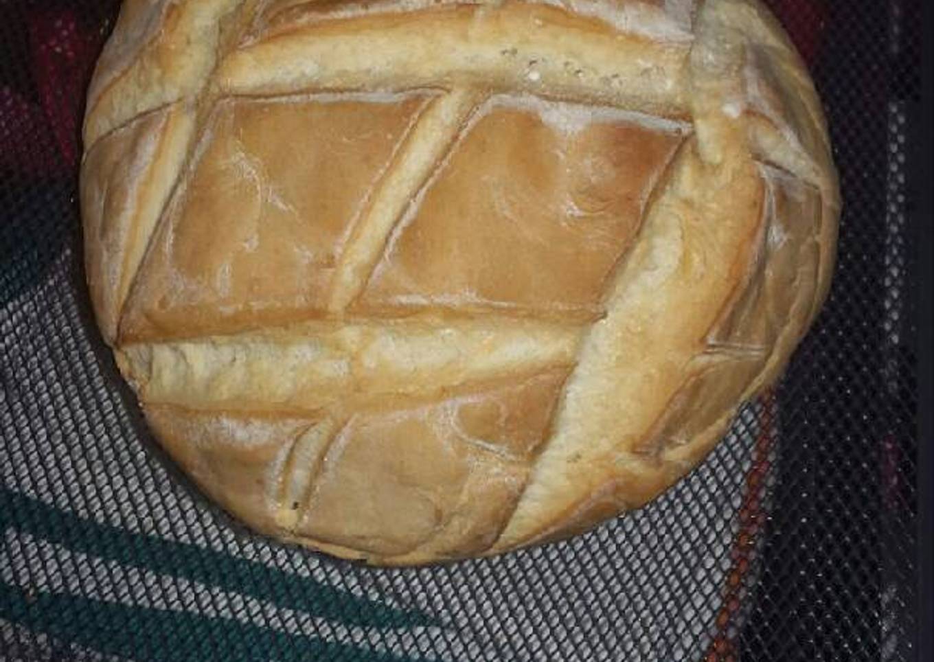 Pan rápido en bolsa de asar, tmx31