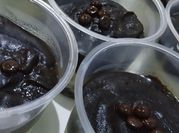 Gambar dessert box untuk jualan