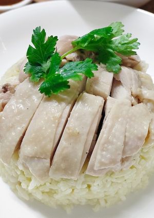 รูปของ ข้าวมันไก่หม้อแรงดัน Update 2024