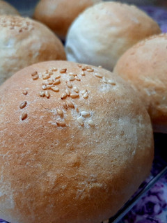 عکسی از دستور 🍔نان برگر🍔