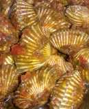 Kerang Bukur Sambal