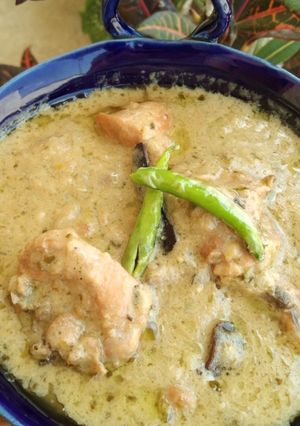 A picture of Chicken white stew.