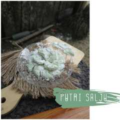 A picture of Kuker Putri Salju.