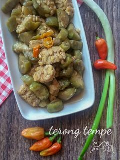 Foto resep Terong Tempe