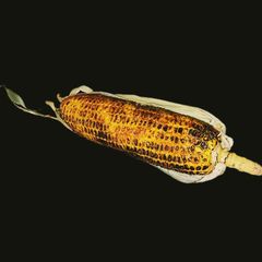 A picture of Masala Corn Bhutta.