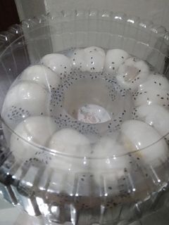Foto resep Puding leci selasih