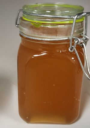 A picture of Orange Ginger Kombucha.