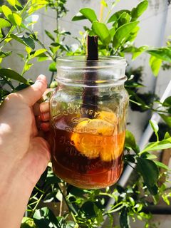 Foto resep Teh lemon madu