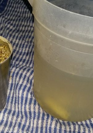 Una foto de Terere mágico para bajar de peso riquísimo