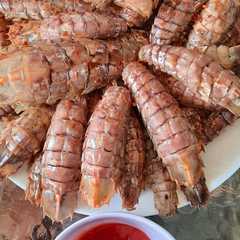 รูปของ Udang Ronggeng/Mantis Shrimp