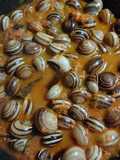 Caracoles en salsa picante