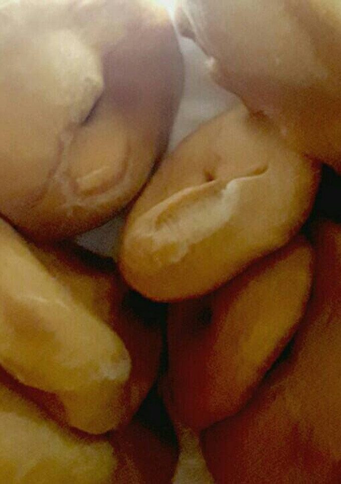 Una foto de Tortas fritas (Camperas) 😋