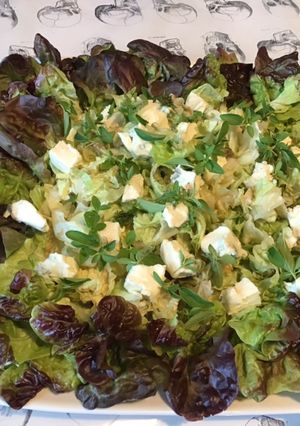 Une photo de Feuille de chêne au gorgonzola et basilic