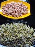 Sprouted moong dal and groundnuts