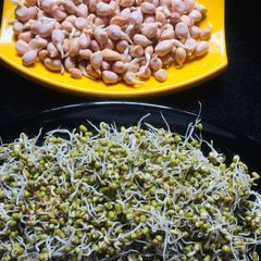 A picture of Sprouted moong dal and groundnuts.