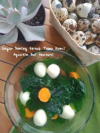 Langkah Mudah untuk Membikin Resep  Sayur Bening Katuk Temu Kunci yang Sempurna, Enak Banget