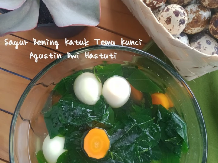 Langkah Mudah untuk Membikin Resep  Sayur Bening Katuk Temu Kunci yang Sempurna, Enak Banget