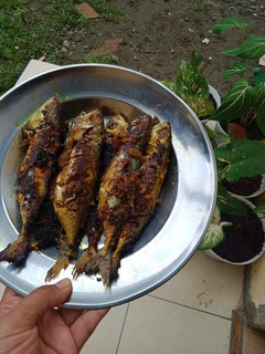 Foto resep Ikan kembung bakar ala RM padang